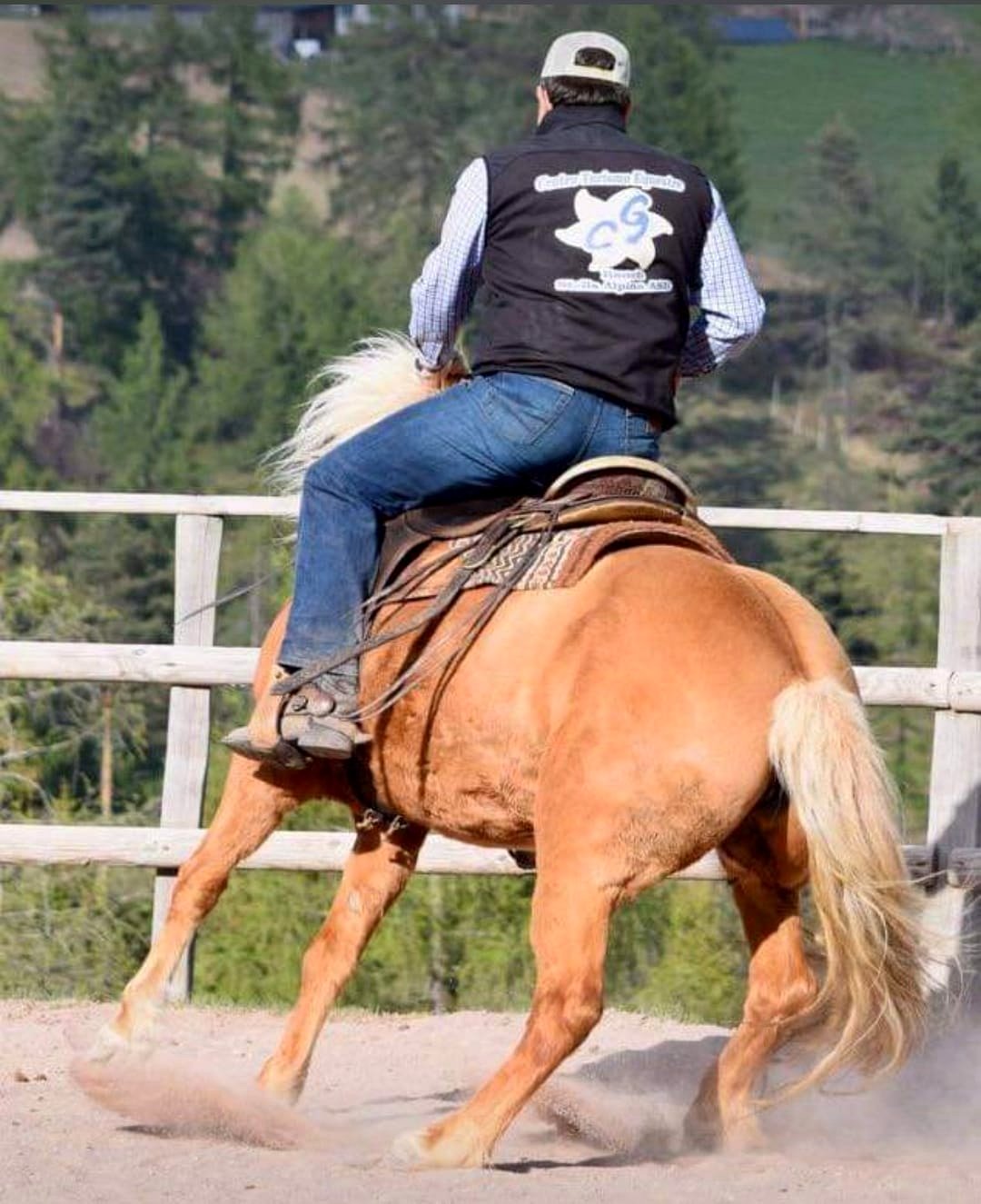 Trekking a cavallo nella natura